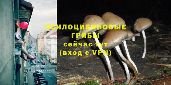 дмт Абдулино